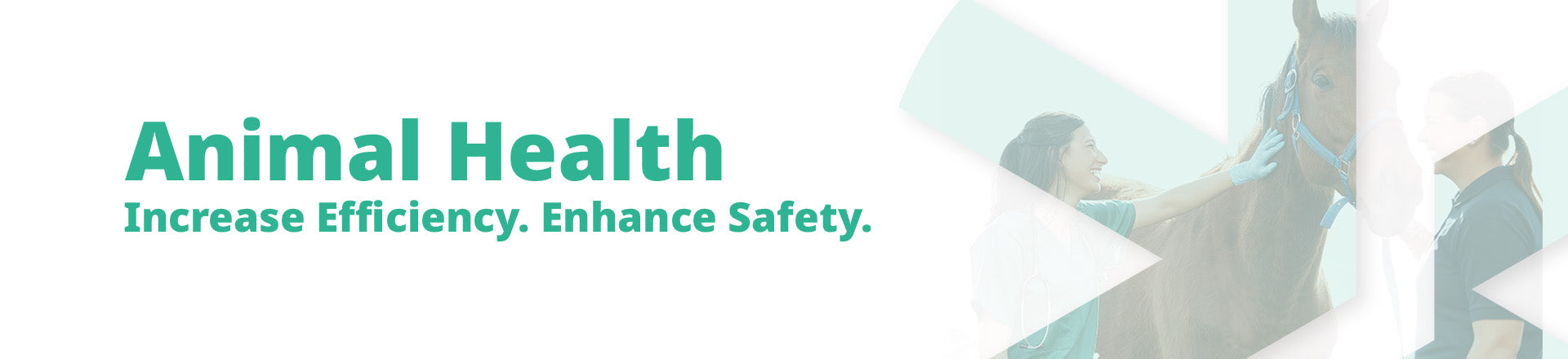 Animal Health